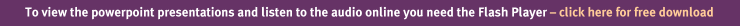 Download Macromedia Flash Player